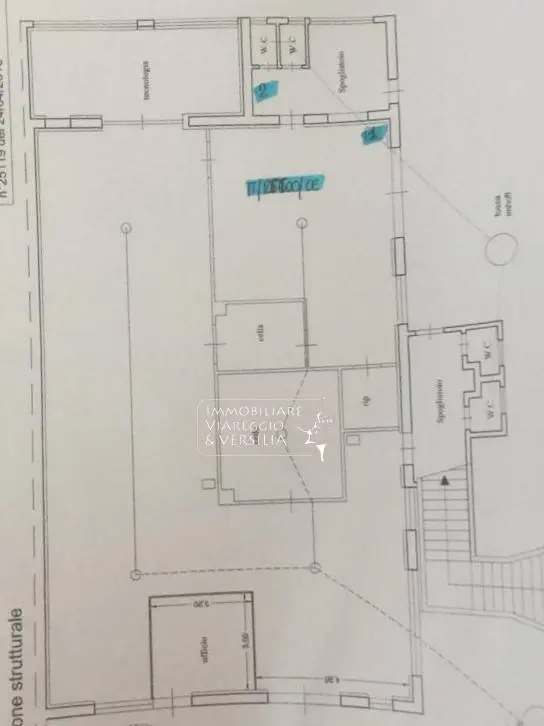 Immagine per Laboratorio in vendita a Viareggio via dei Peecchi 100
