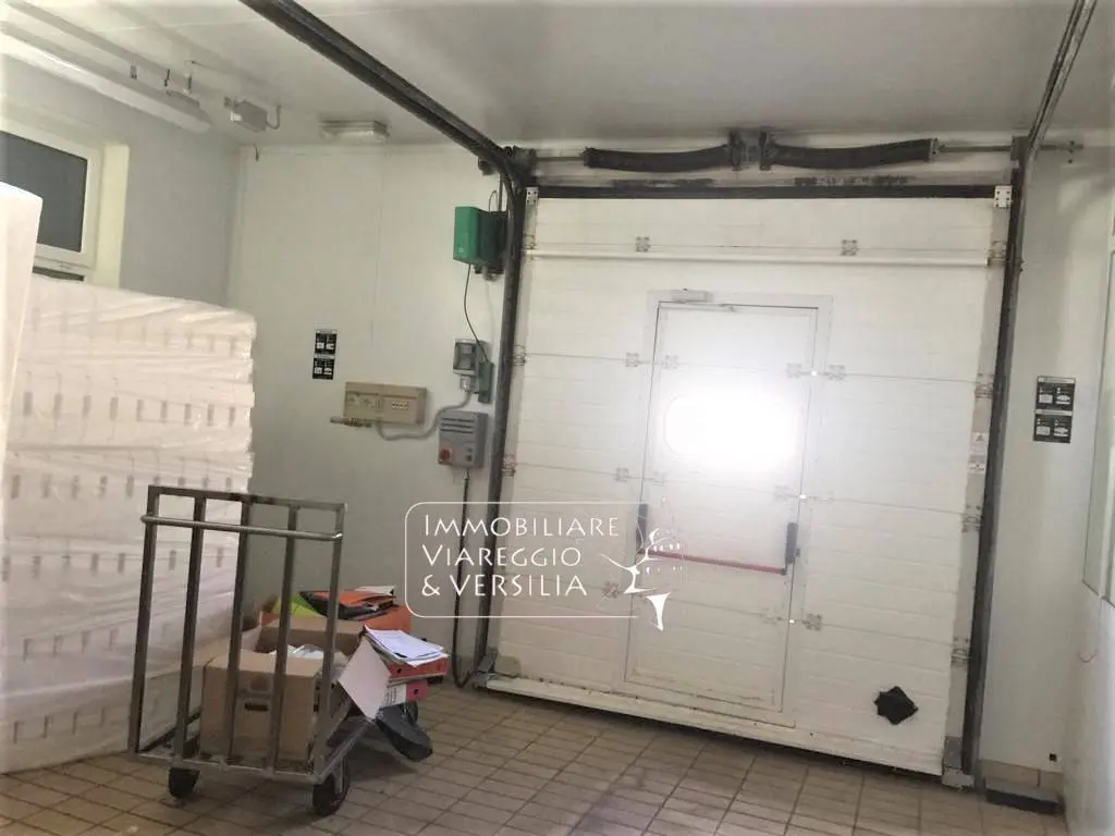 Immagine per Laboratorio in vendita a Viareggio via dei Peecchi 100