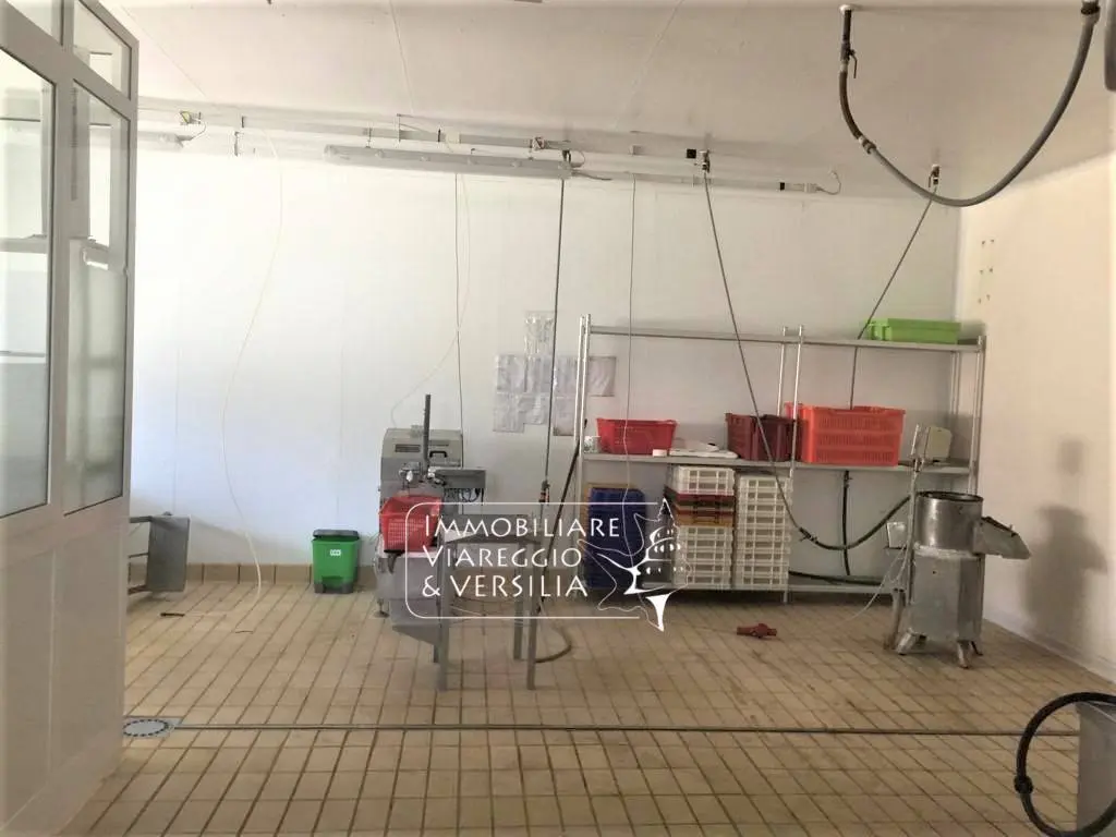 Immagine per Laboratorio in vendita a Viareggio via dei Peecchi 100