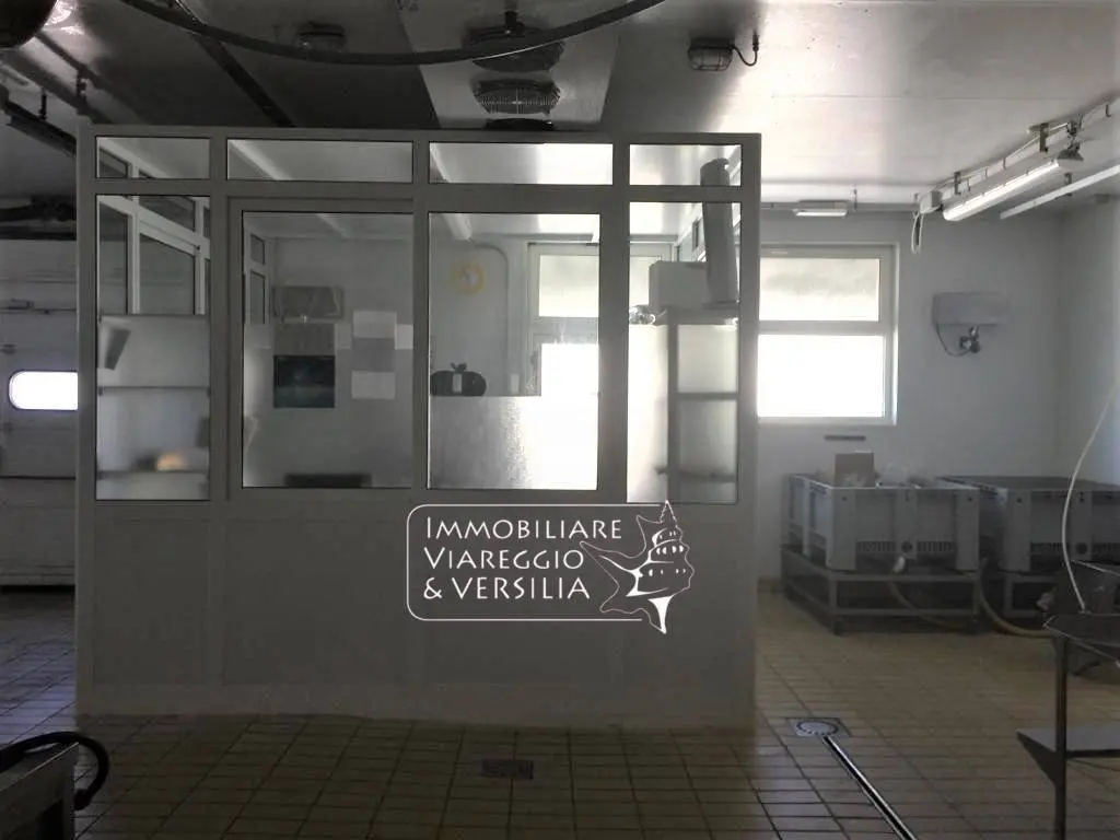 Immagine per Laboratorio in vendita a Viareggio via dei Peecchi 100