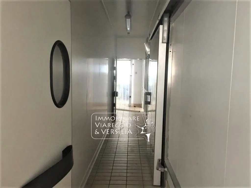 Immagine per Laboratorio in vendita a Viareggio via dei Peecchi 100