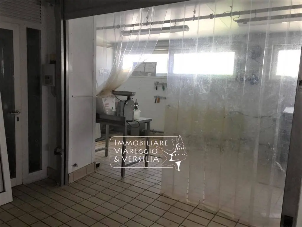 Immagine per Laboratorio in vendita a Viareggio via dei Peecchi 100