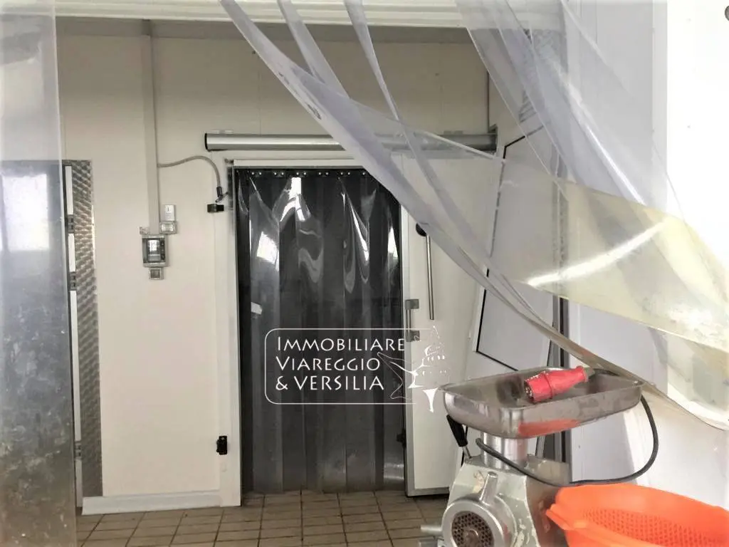 Immagine per Laboratorio in vendita a Viareggio via dei Peecchi 100