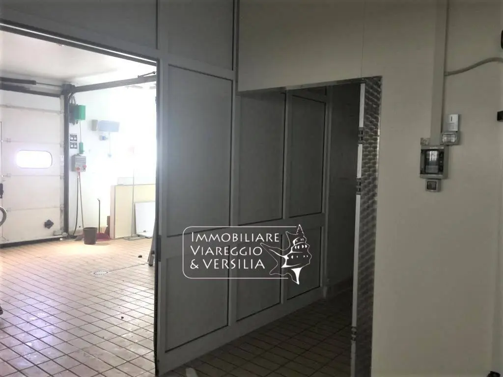 Immagine per Laboratorio in vendita a Viareggio via dei Peecchi 100