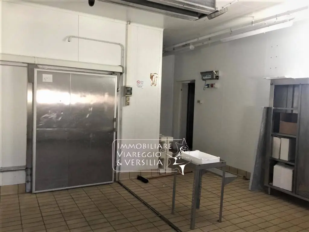Immagine per Laboratorio in vendita a Viareggio via dei Peecchi 100