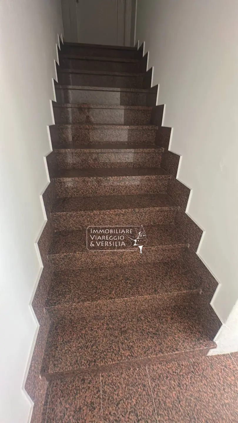 Immagine per Ufficio in affitto a Camaiore via delle Cannelle 5