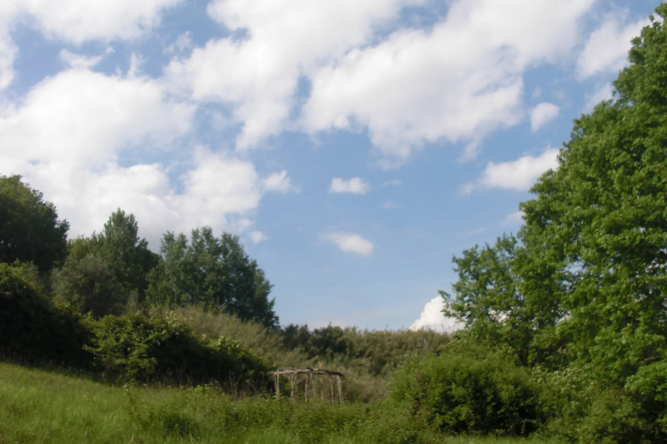Immagine per Area verde in vendita a Casciana Terme Lari via Casciana Terme