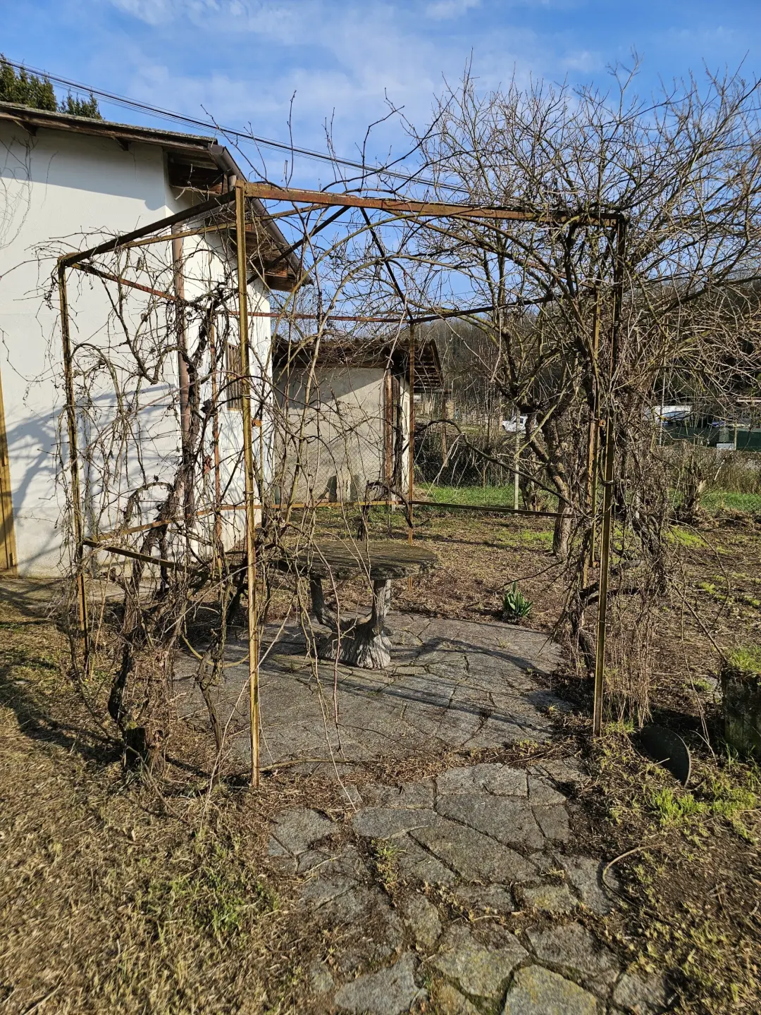 Immagine per Terratetto in vendita a Refrancore via Sp 11