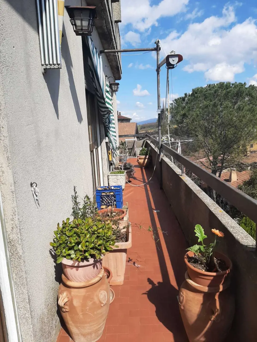 Immagine per Appartamento in vendita a Avigliano Umbro via Roma 208