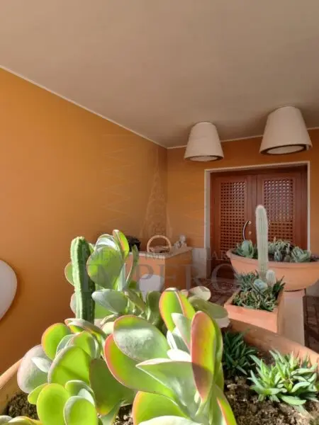 Attico 1, Ventimiglia