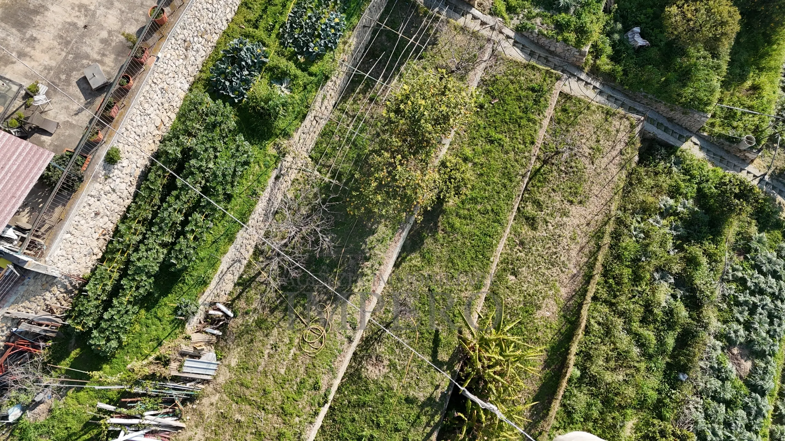 Immagine per Porzione di casa in vendita a Ventimiglia 15