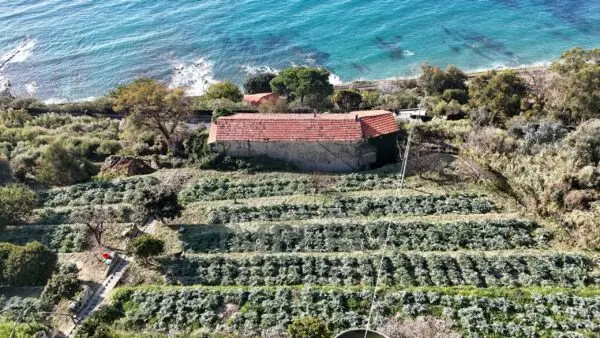 Porzione Di Casa 15, Ventimiglia
