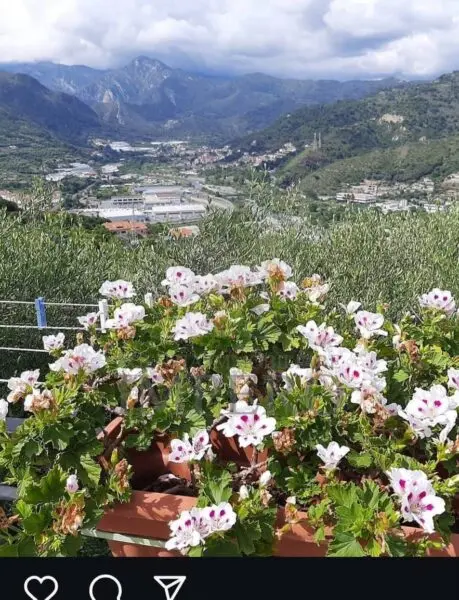 Villa Bifamiliare via Ciappin 175, Ventimiglia