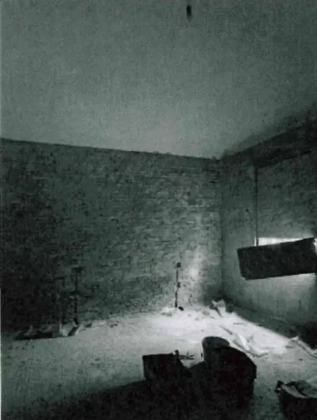Porzione Di Casa via Viazza, Faenza
