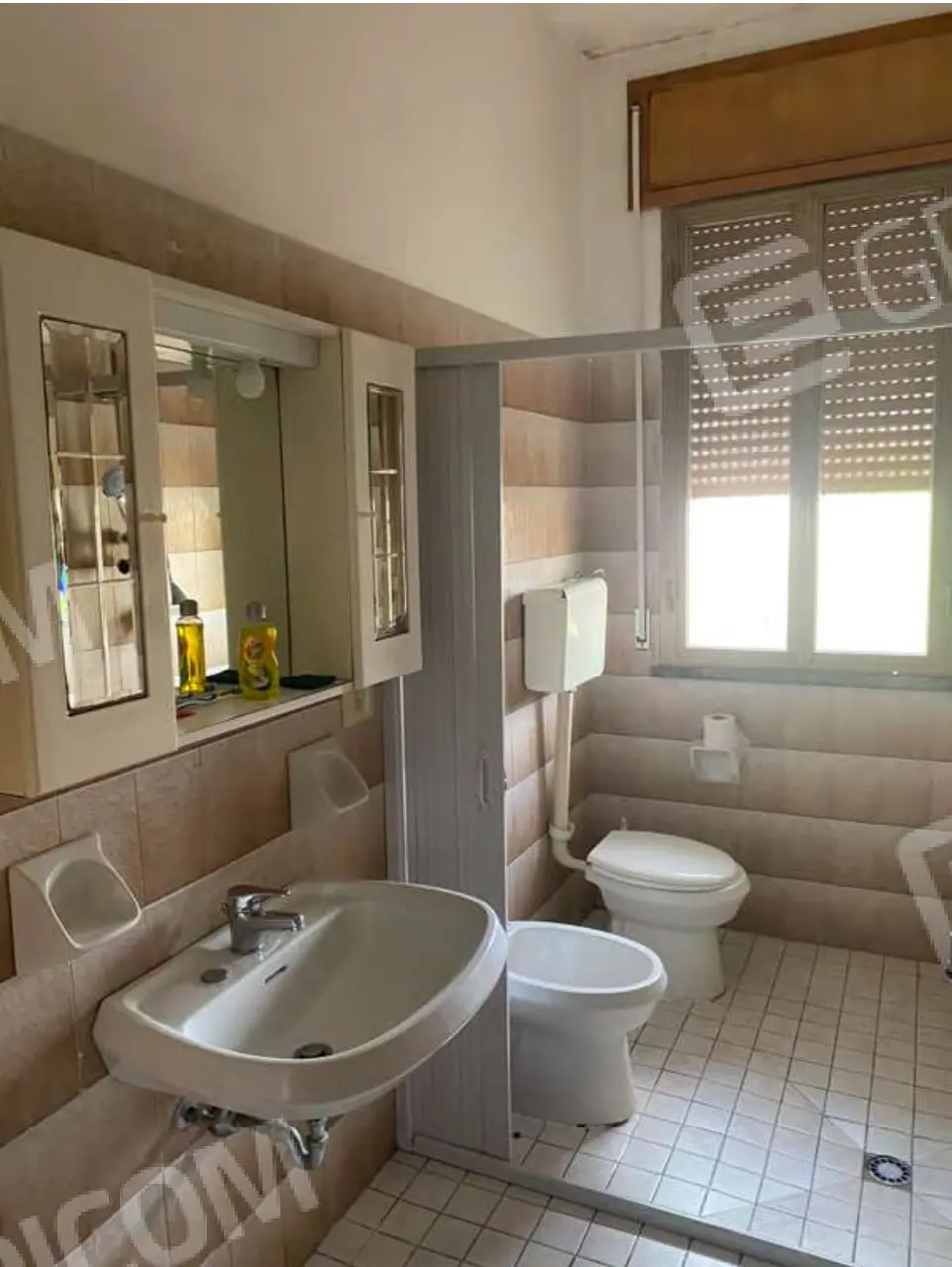 Immagine per Albergo in vendita a Alfonsine via Borse