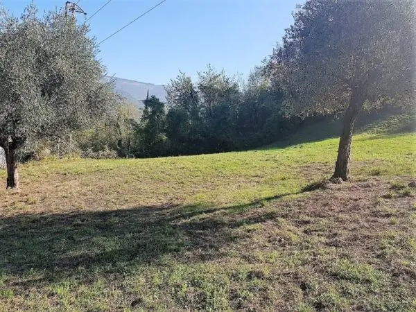 Prato via San Donato 925/a, Lucca