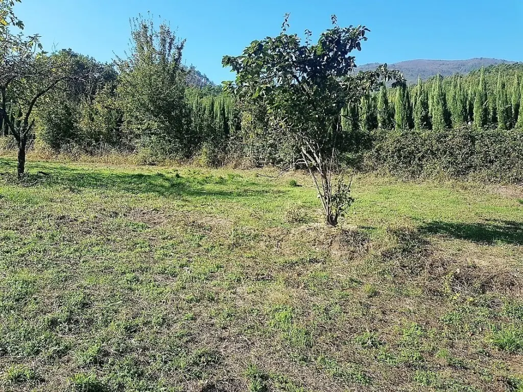 Immagine per Prato in vendita a Lucca via San Donato 925/A