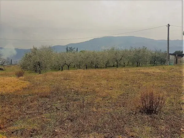 Prato via San Donato 925/a, Lucca