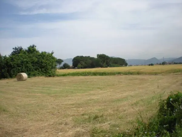 Prato via San Donato 925/a, Lucca