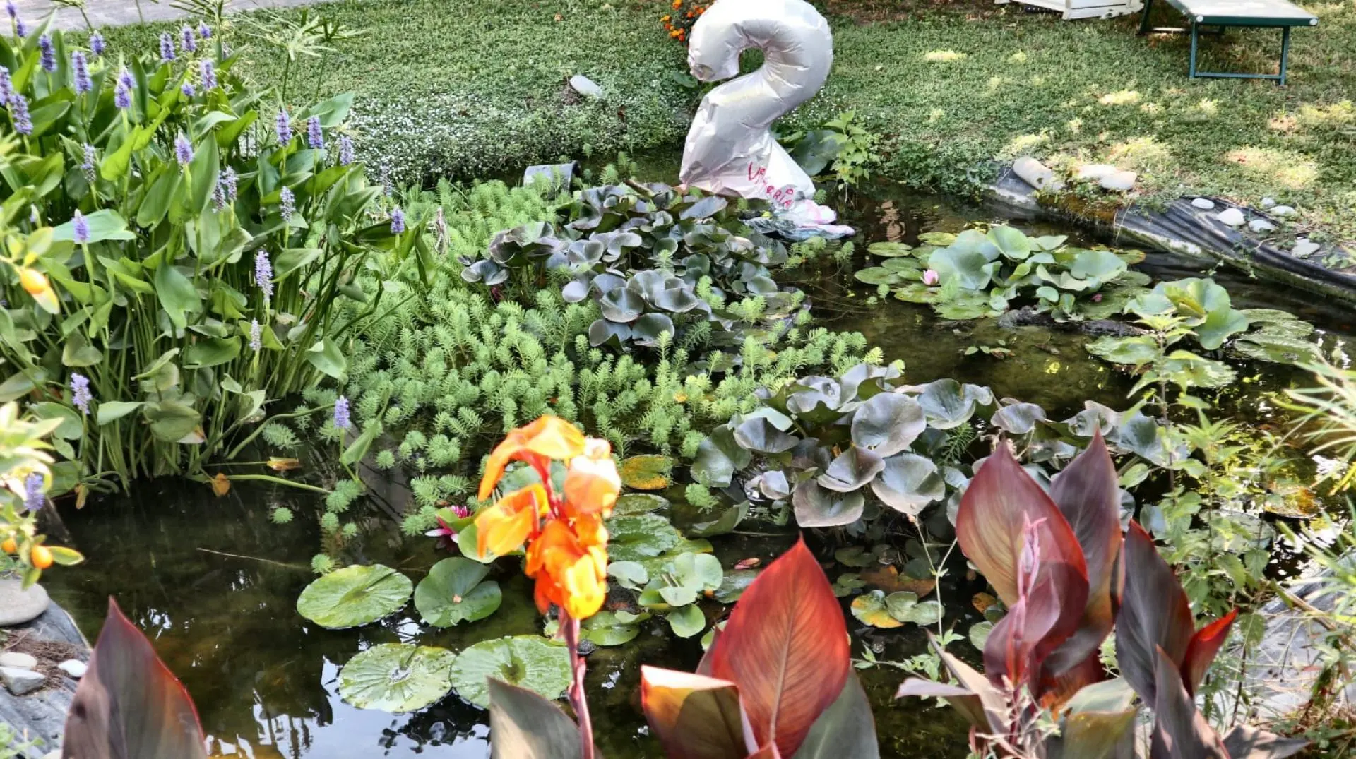 Immagine per Villa in vendita a Lucca via Ceppo Di Melo