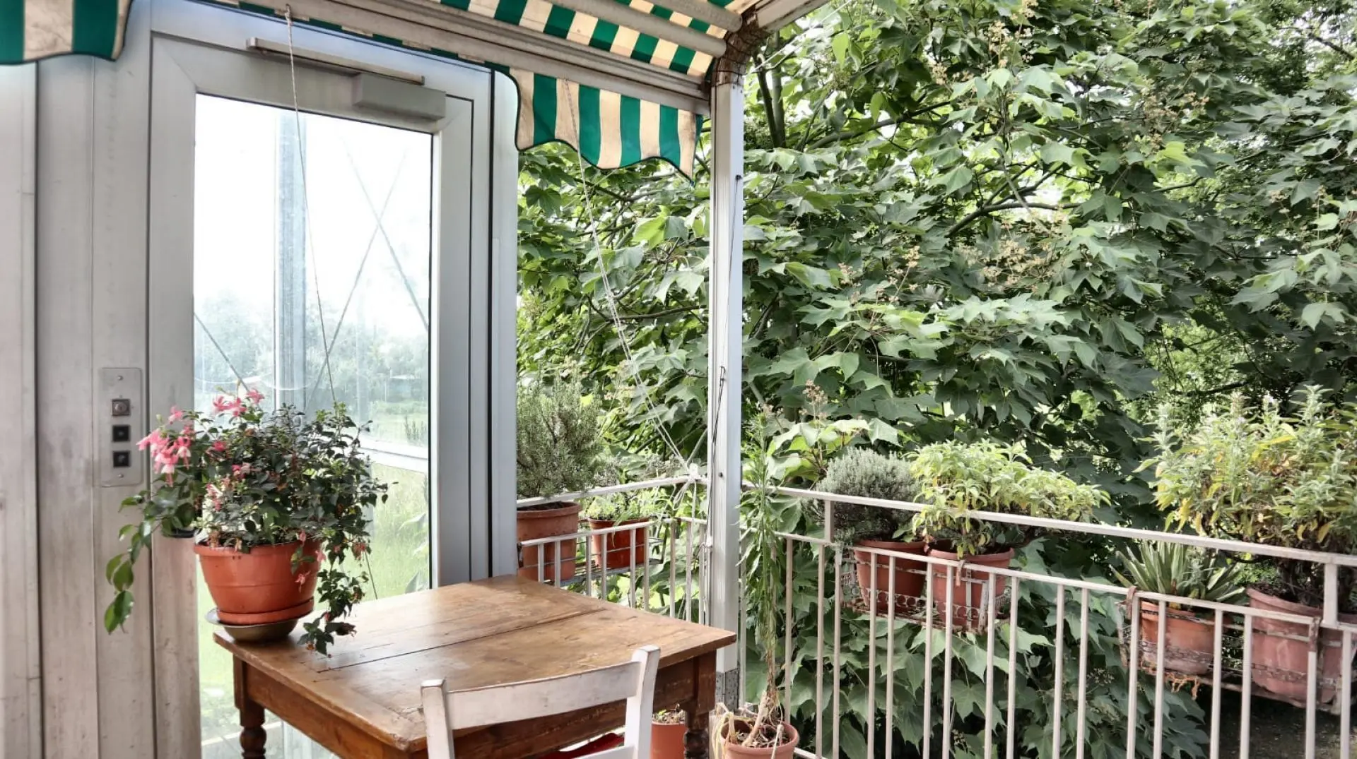 Immagine per Villa in vendita a Lucca via Ceppo Di Melo