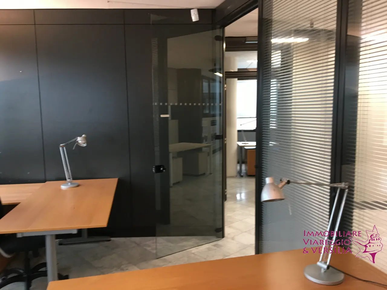 Immagine per Ufficio in affitto a Viareggio via Tobino 