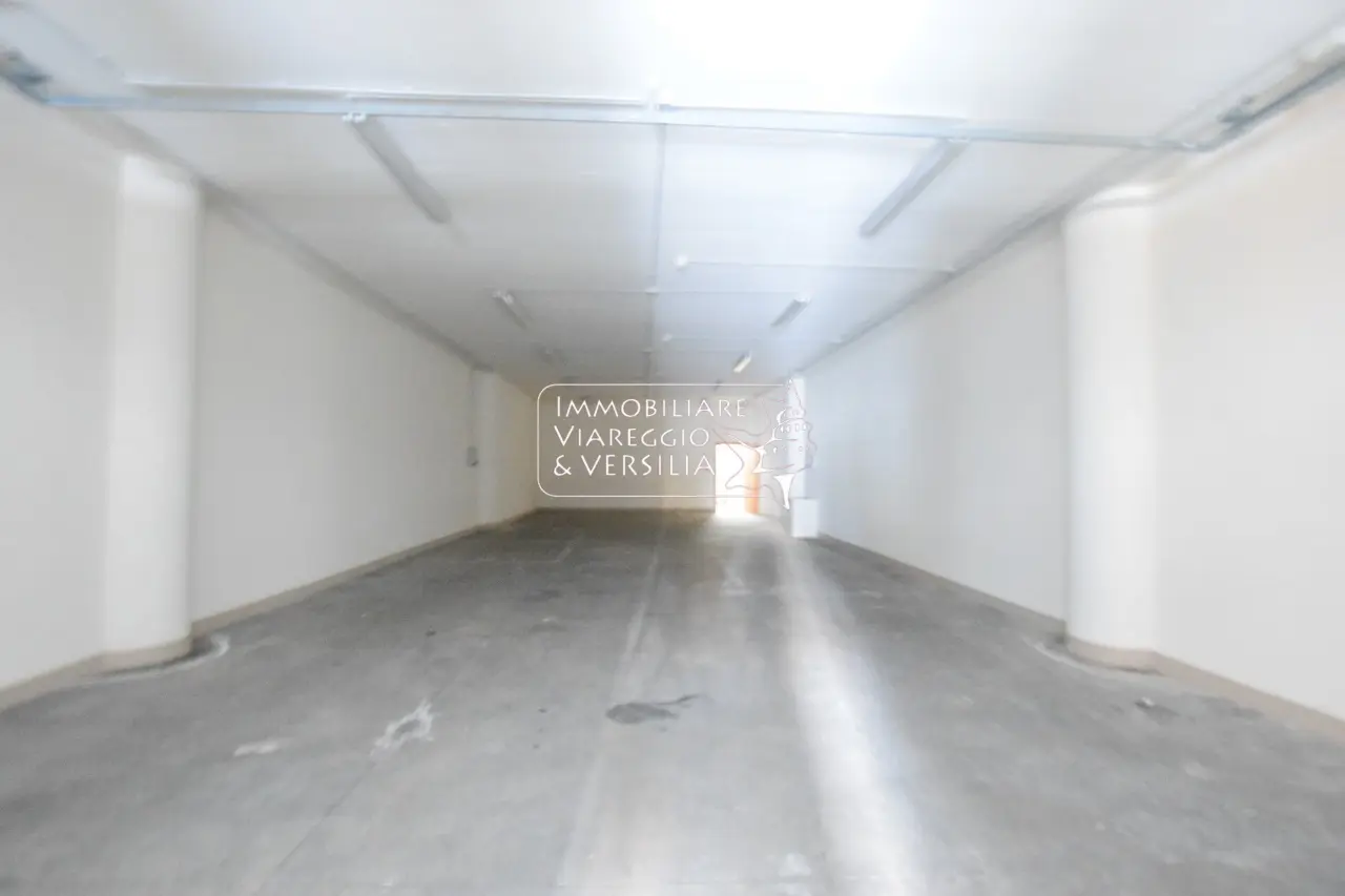 Immagine per Ufficio in vendita a Viareggio via Aurelia Sud 10