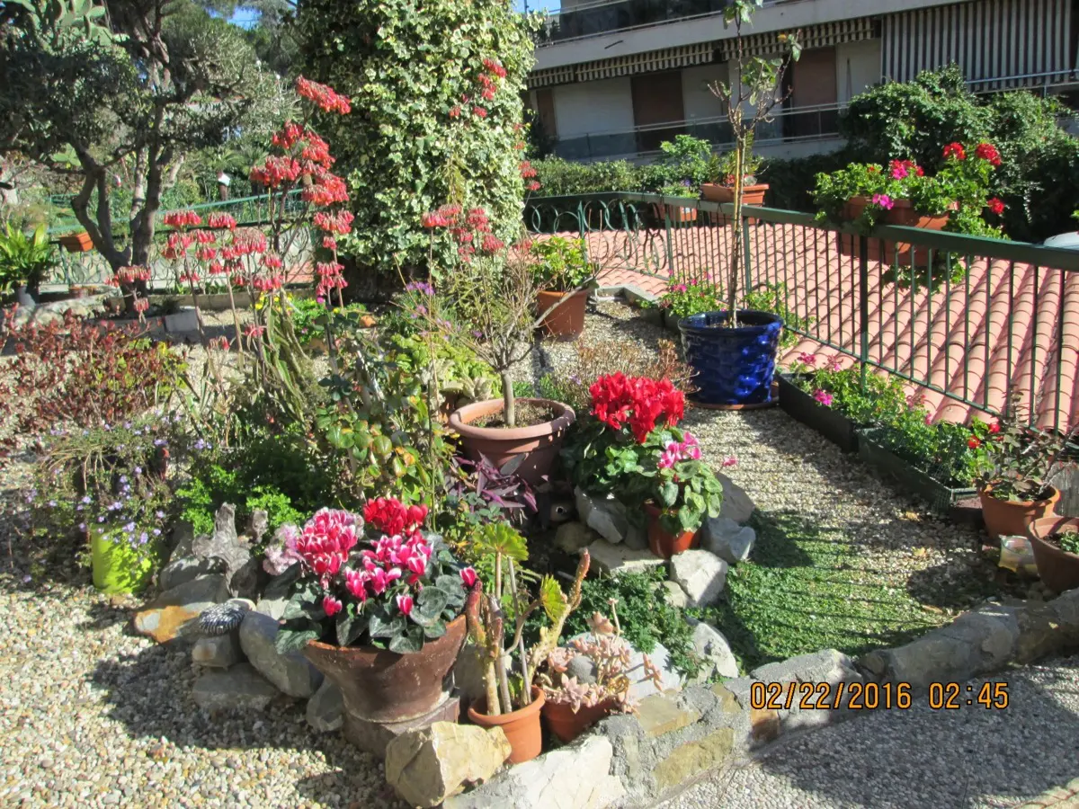 Immagine per Casa Indipendente in vendita a Sanremo via Padre Semeria 143
