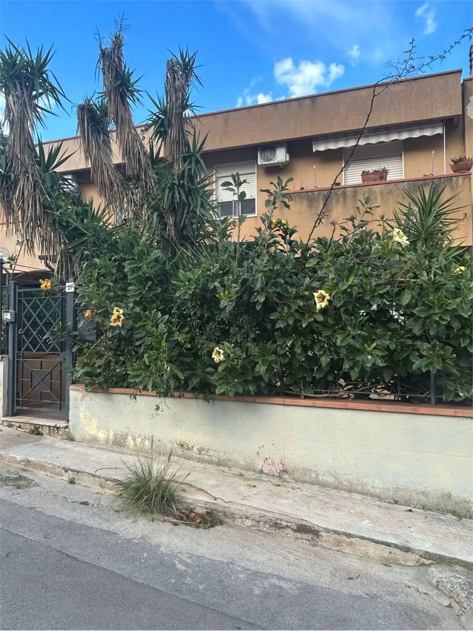 Immagine per Villetta a Schiera in vendita a Palermo