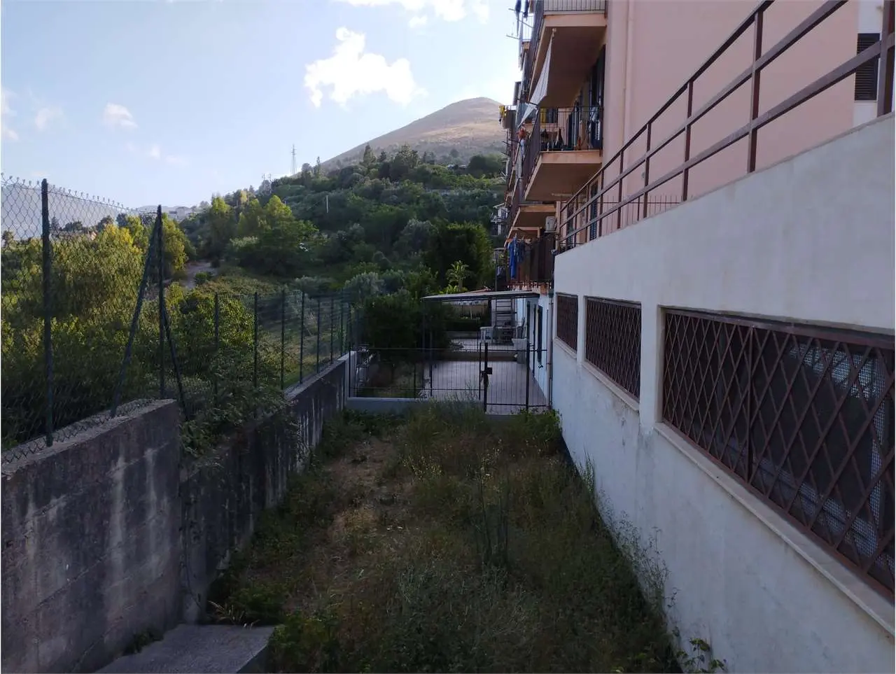Immagine per Magazzino in vendita a Monreale