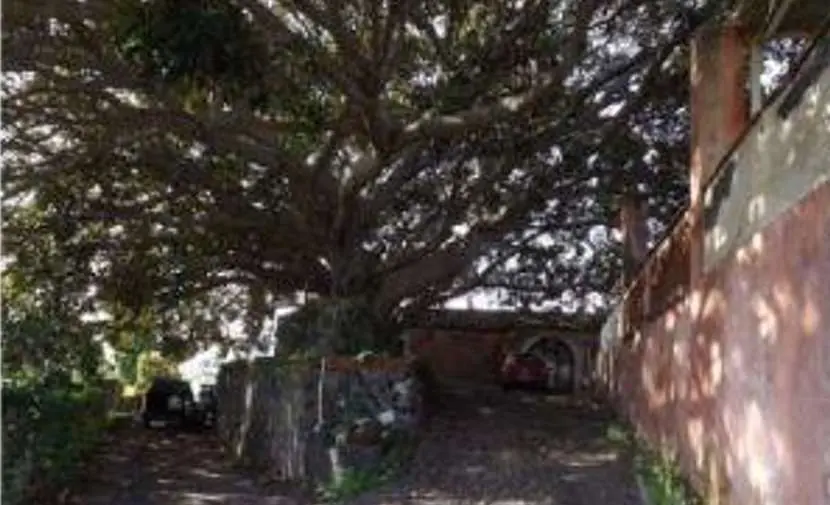 Immagine per Villa in asta a Catania 211