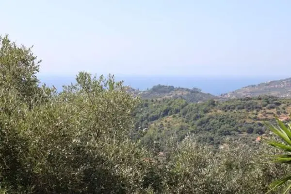 Villa strada Cason Della Guardia 21, Imperia