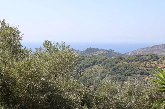 Immagine per Villa in asta a Imperia strada Cason Della Guardia 21