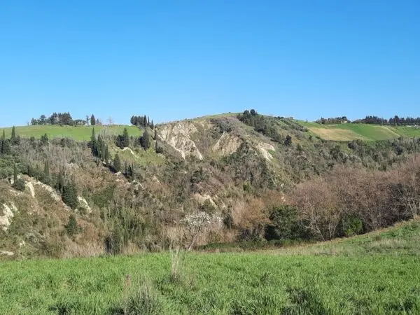Casale via Cantina Cocci Grifoni, Ripatransone