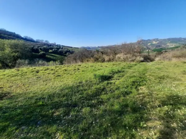 Casale via Cantina Cocci Grifoni, Ripatransone