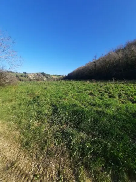 Casale via Cantina Cocci Grifoni, Ripatransone
