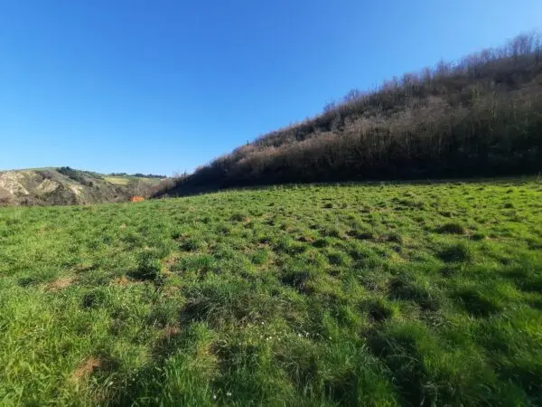 Casale via Cantina Cocci Grifoni, Ripatransone