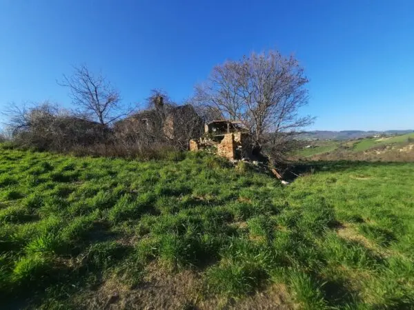 Casale via Cantina Cocci Grifoni, Ripatransone