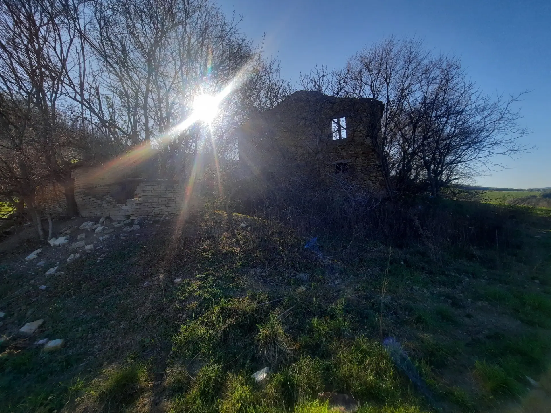 Immagine per Casale in vendita a Ripatransone via Cantina Cocci Grifoni