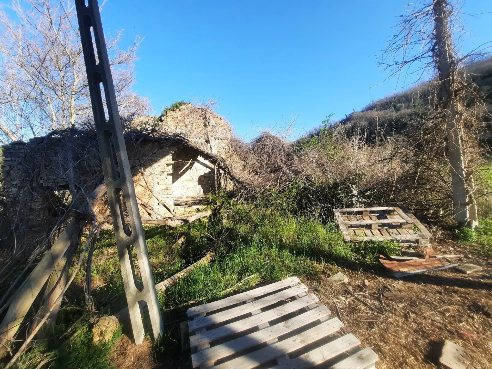 Immagine per Casale in vendita a Ripatransone via Cantina Cocci Grifoni