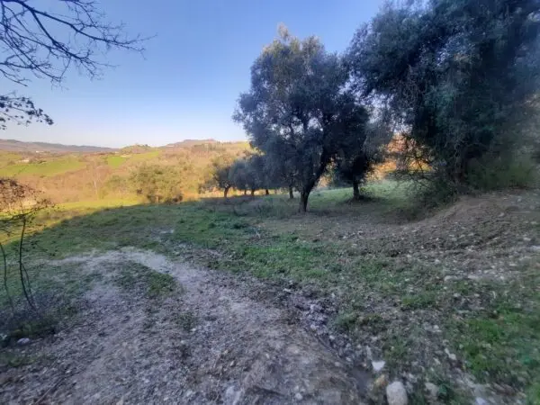 Casale via Cantina Cocci Grifoni, Ripatransone