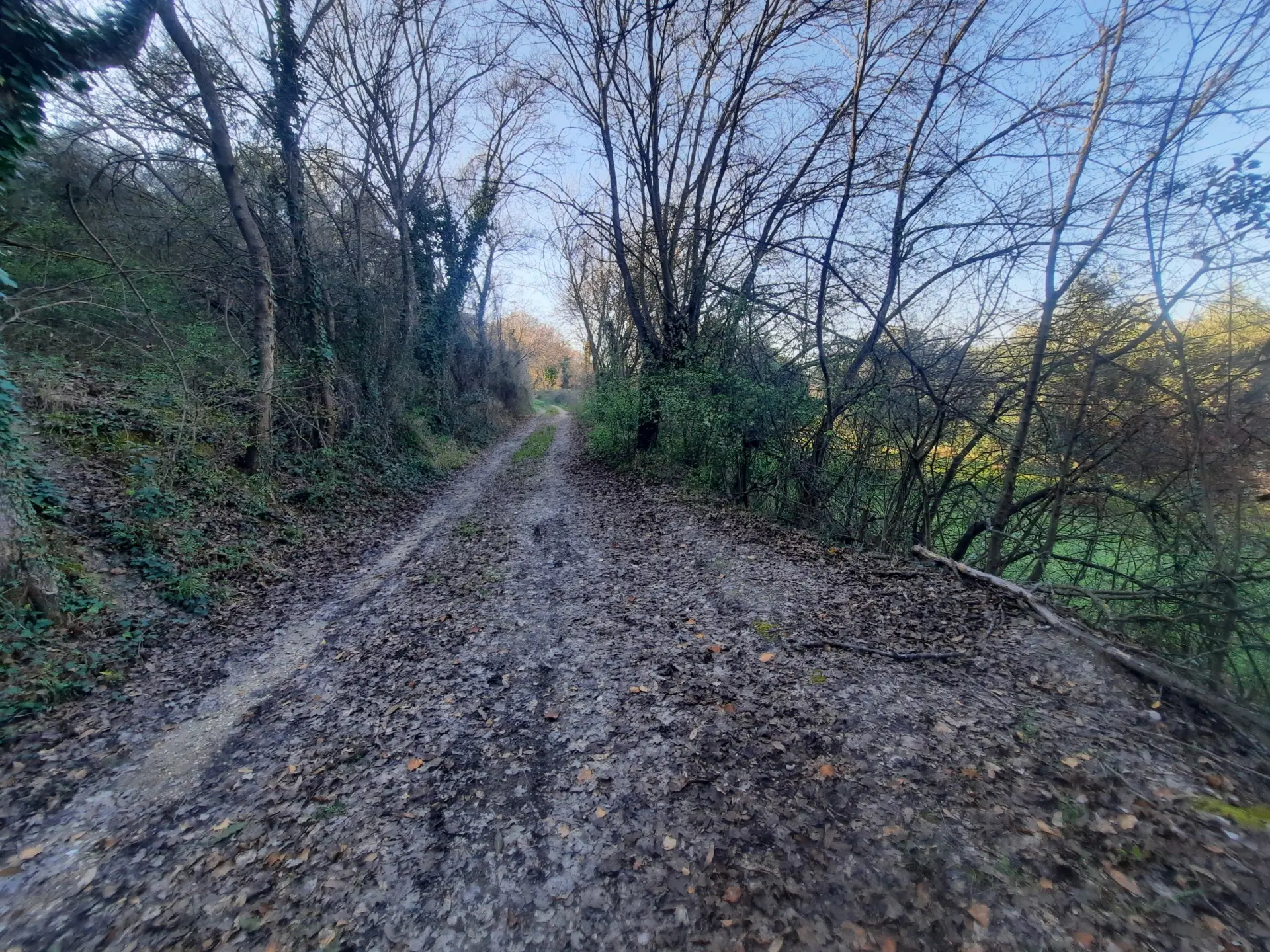 Immagine per Casale in vendita a Ripatransone via Cantina Cocci Grifoni