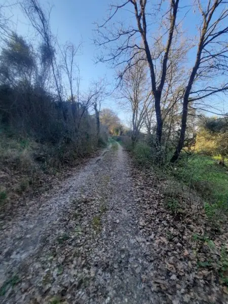 Casale via Cantina Cocci Grifoni, Ripatransone