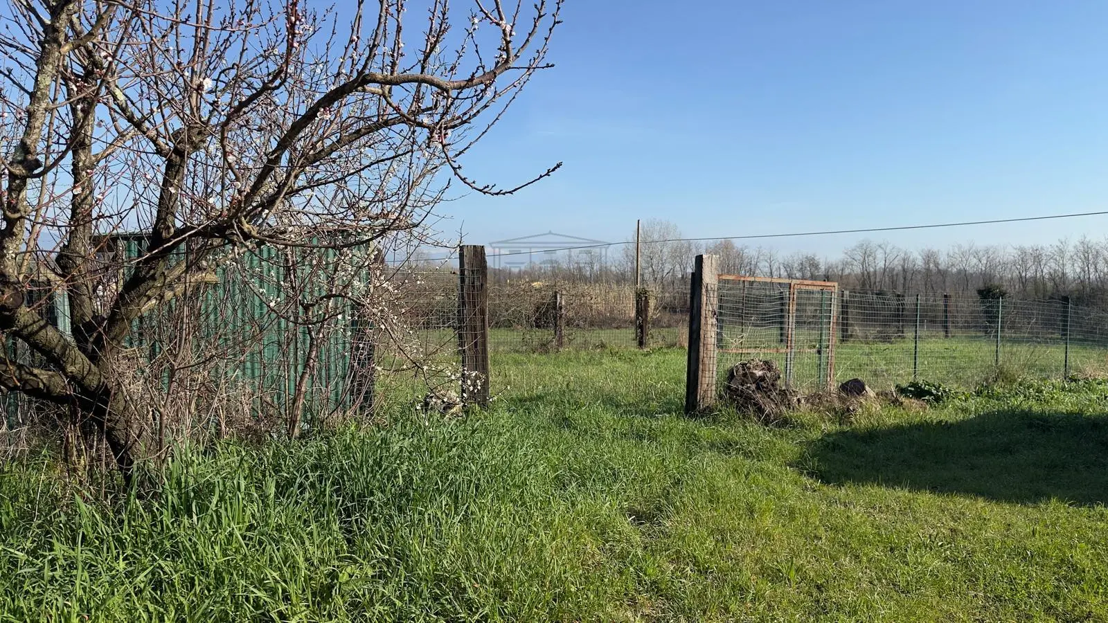 Immagine per Rustico in vendita a Capannori via Dei Canali 38