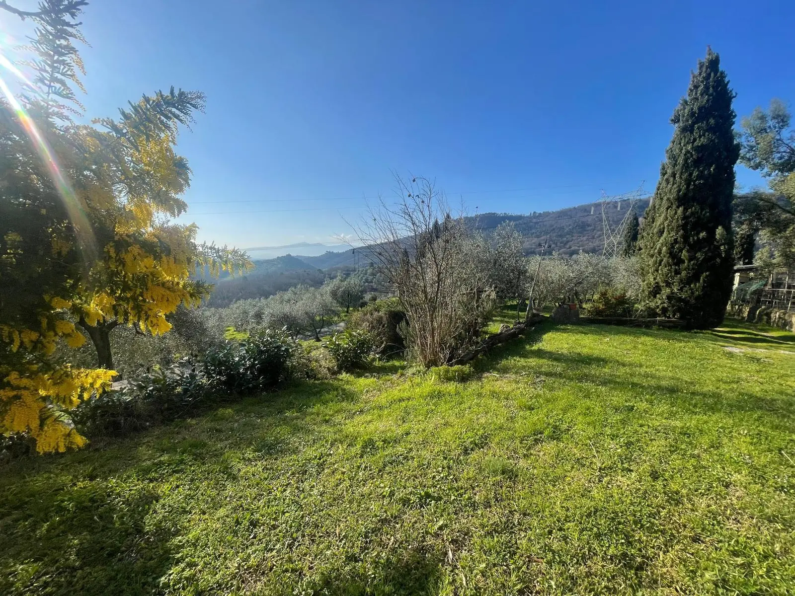 Immagine per Casale in vendita a Lucca via Dei Bertolotti