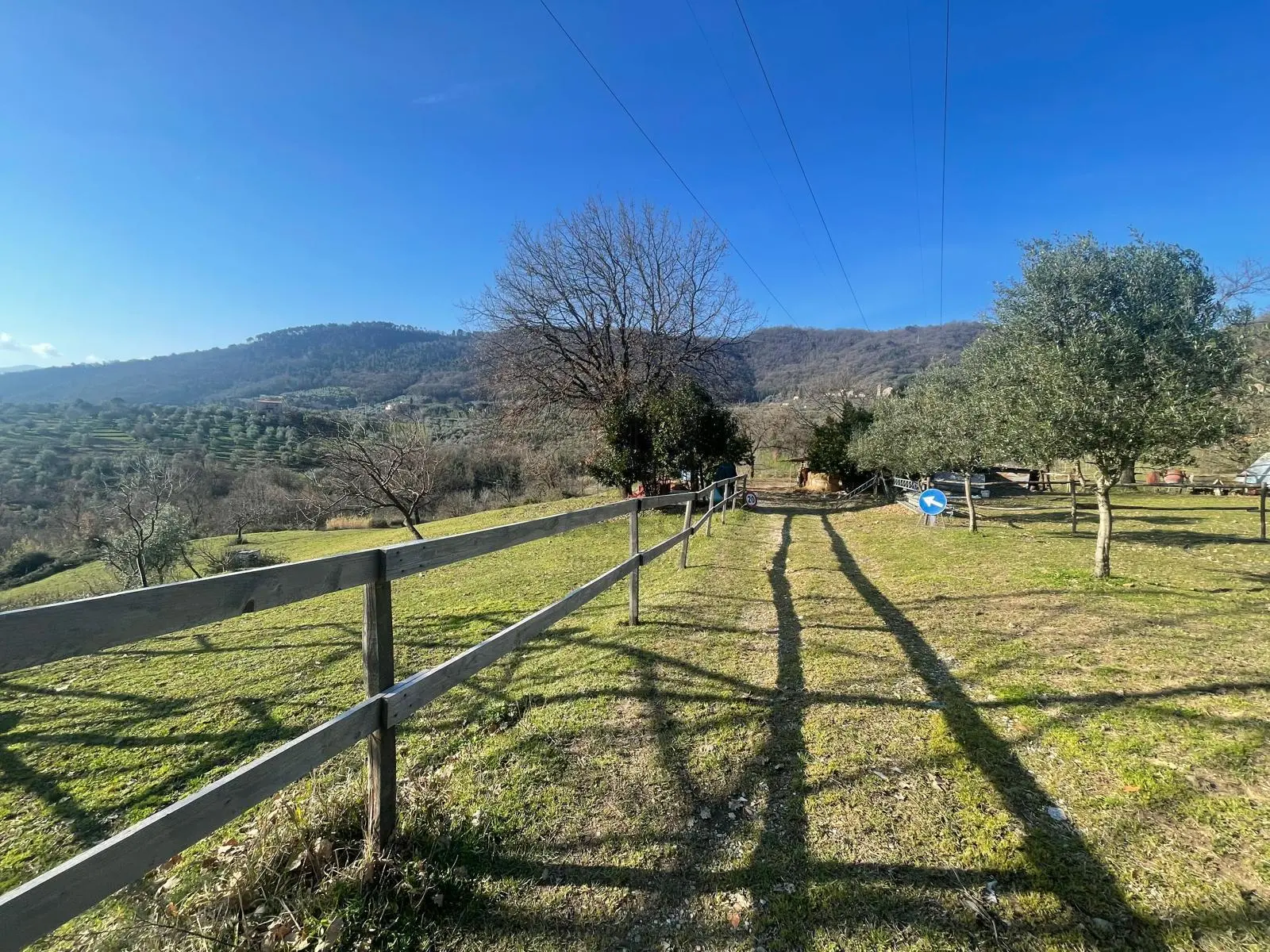 Immagine per Casale in vendita a Lucca via Dei Bertolotti