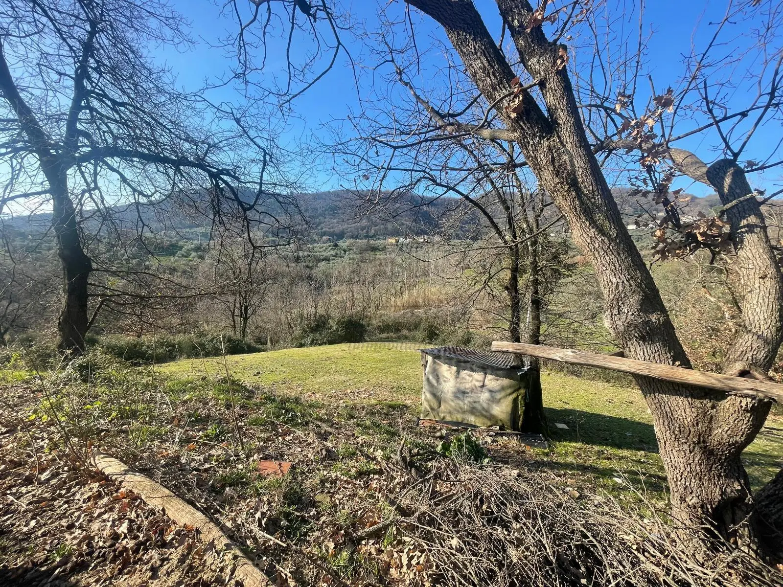 Immagine per Casale in vendita a Lucca via Dei Bertolotti