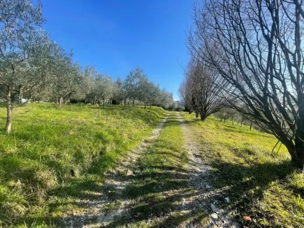 Casale via Dei Bertolotti, Lucca