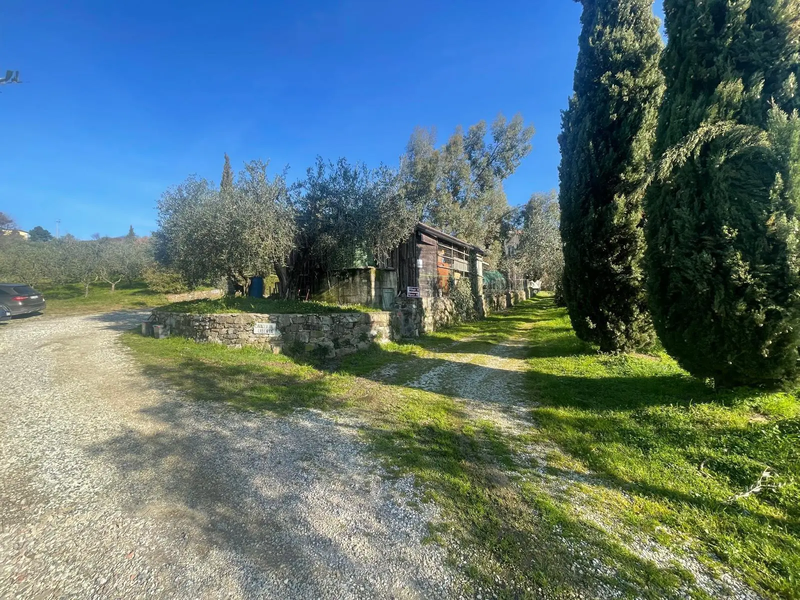 Immagine per Casale in vendita a Lucca via Dei Bertolotti