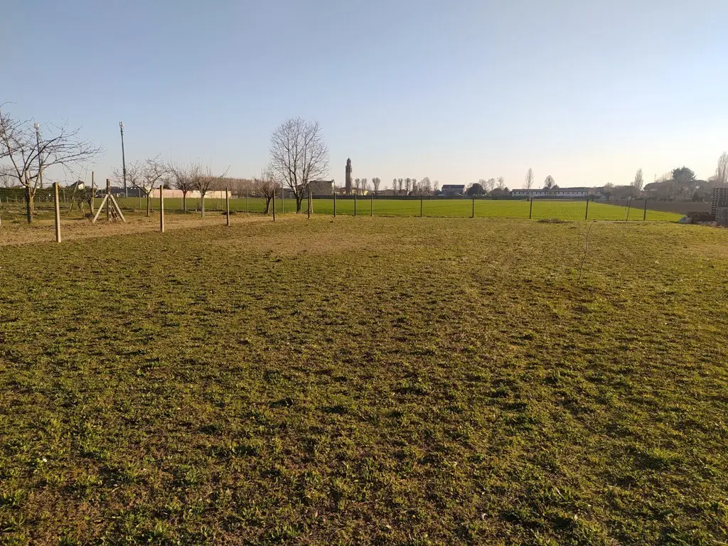 Immagine per Industriale in vendita a Pontecchio Polesine via Ghetto